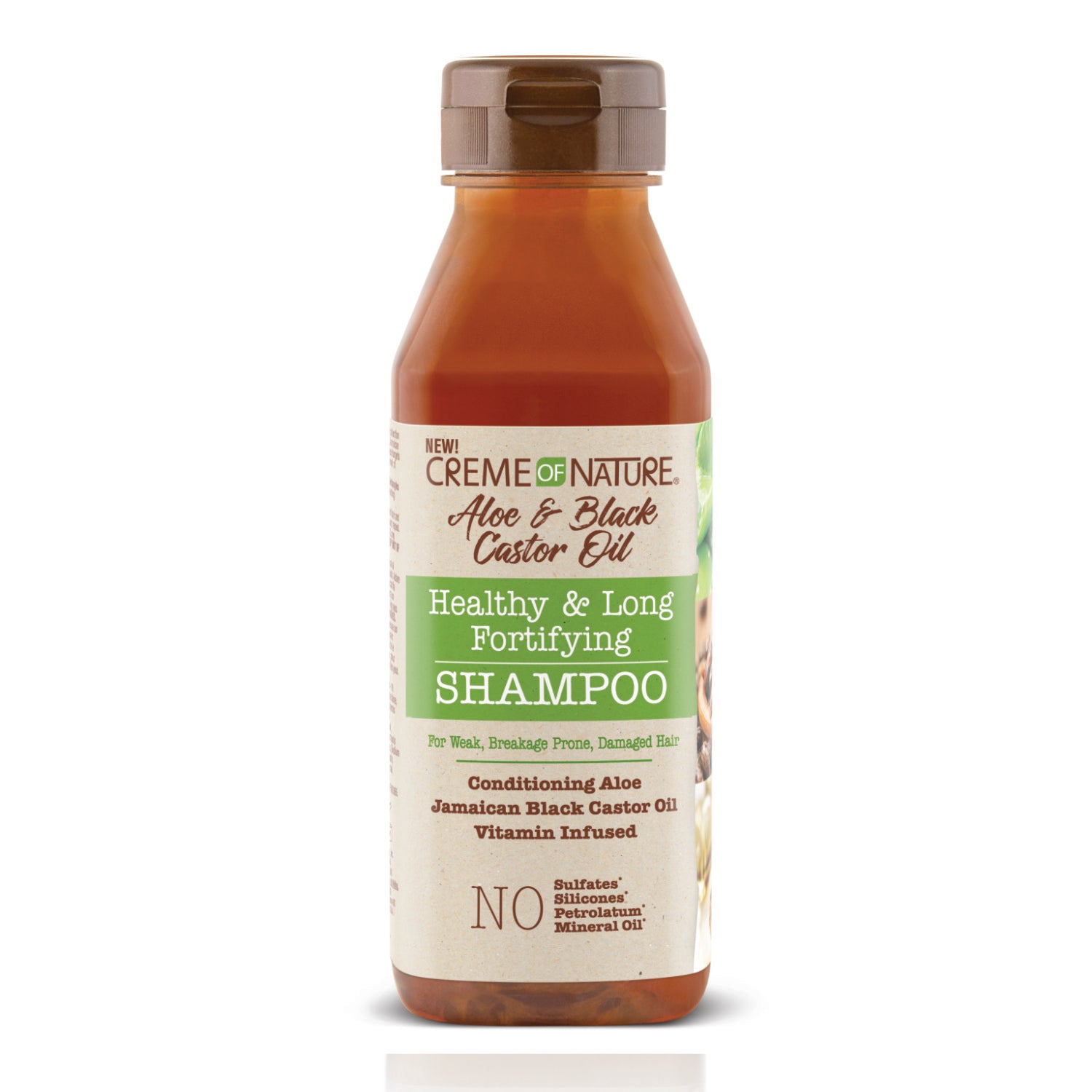 Aloe & Black Castor Oil Shampoo